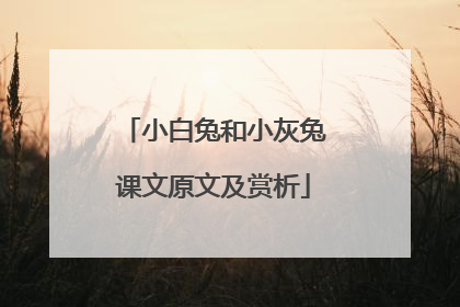 小白兔和小灰兔课文原文及赏析