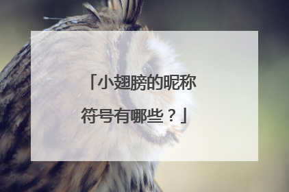 小翅膀的昵称符号有哪些？