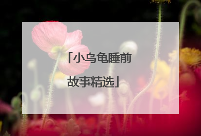 小乌龟睡前故事精选