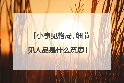 小事见格局,细节见人品是什么意思