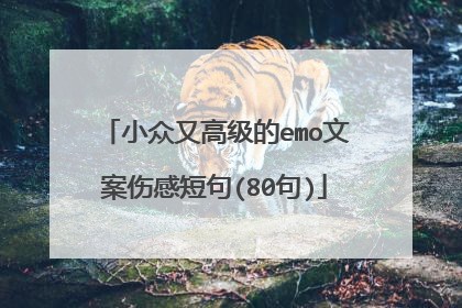 小众又高级的emo文案伤感短句(80句)