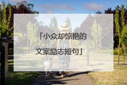 小众却惊艳的文案励志短句