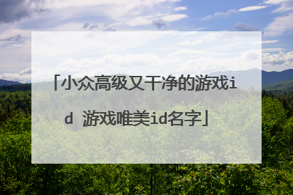 小众高级又干净的游戏id 游戏唯美id名字