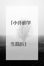 小升初学生简历