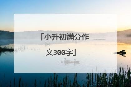 小升初满分作文300字