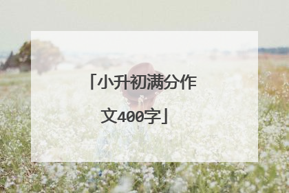 小升初满分作文400字