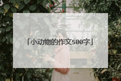 小动物的作文500字