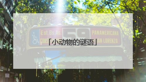 小动物的谜语