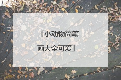 小动物简笔画大全可爱