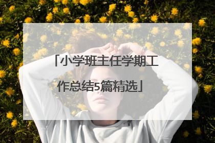 小学班主任学期工作总结5篇精选