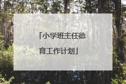小学班主任德育工作计划