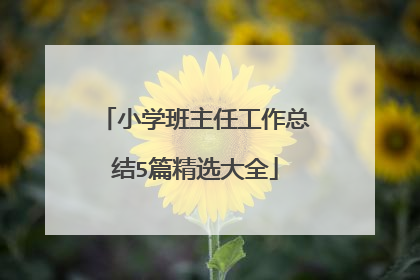 小学班主任工作总结5篇精选大全