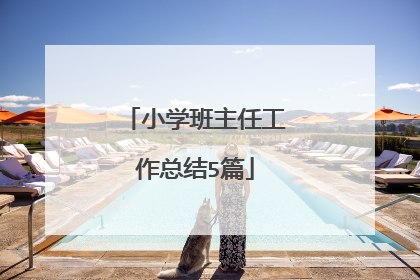 小学班主任工作总结5篇