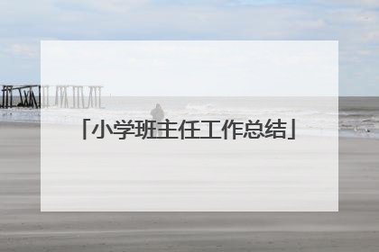 小学班主任工作总结