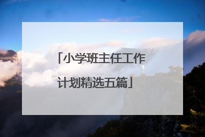 小学班主任工作计划精选五篇