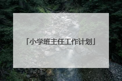 小学班主任工作计划