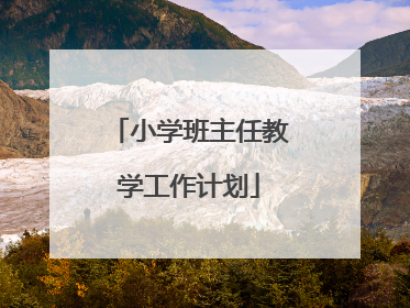 小学班主任教学工作计划