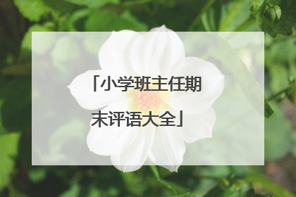 小学班主任期末评语大全