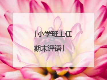小学班主任期末评语
