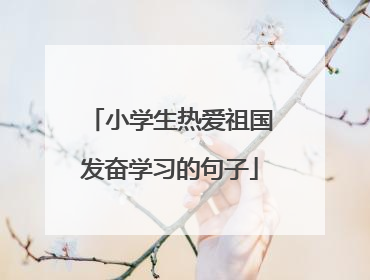 小学生热爱祖国发奋学习的句子