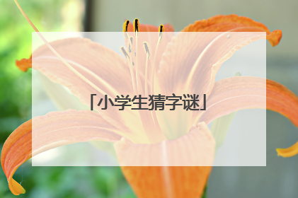 小学生猜字谜
