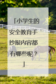 小学生的安全教育手抄报内容都有哪些呢？