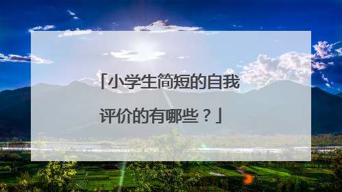 小学生简短的自我评价的有哪些？