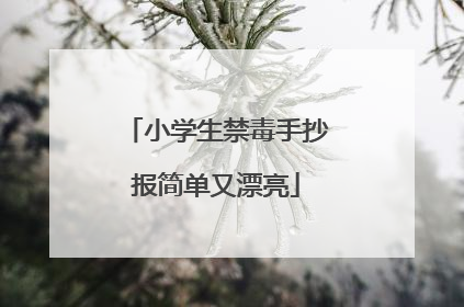 小学生禁毒手抄报简单又漂亮