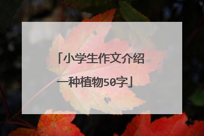 小学生作文介绍一种植物50字