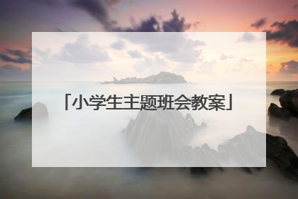 小学生主题班会教案