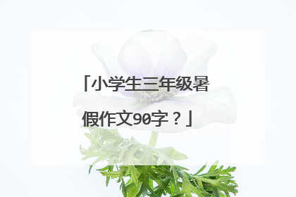 小学生三年级暑假作文90字？