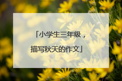 小学生三年级，描写秋天的作文