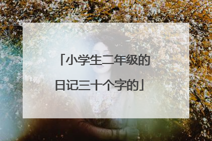 小学生二年级的日记三十个字的