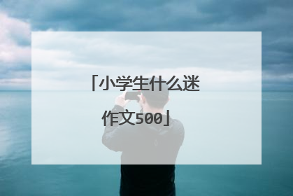 小学生什么迷作文500