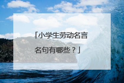 小学生劳动名言名句有哪些？