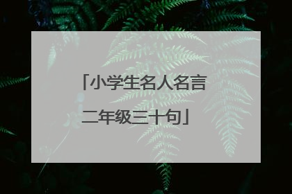 小学生名人名言二年级三十句