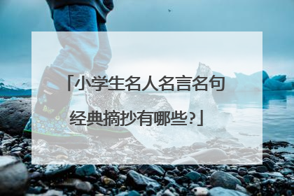 小学生名人名言名句经典摘抄有哪些?