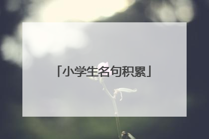 小学生名句积累