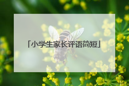 小学生家长评语简短