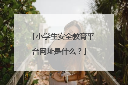 小学生安全教育平台网址是什么?