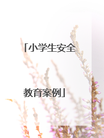 小学生安全教育案例