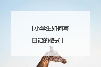 小学生如何写日记的格式