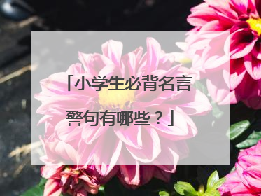 小学生必背名言警句有哪些？