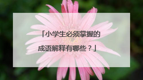 小学生必须掌握的成语解释有哪些？