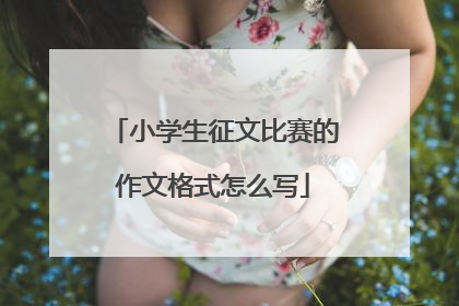 小学生征文比赛的作文格式怎么写