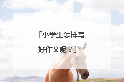 小学生怎样写好作文呢？