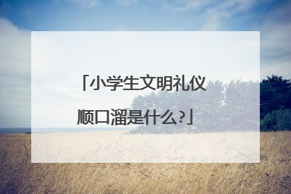 小学生文明礼仪顺口溜是什么?