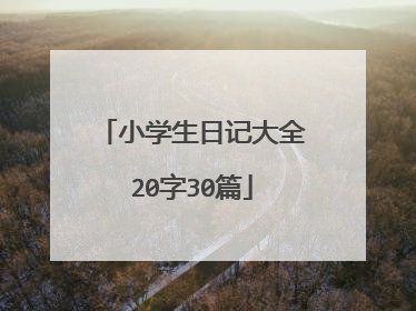 小学生日记大全20字30篇