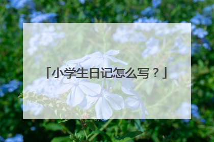 小学生日记怎么写？