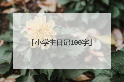 小学生日记100字